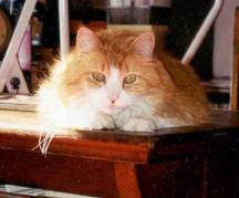 beautifulboy.jpg (76373 bytes)