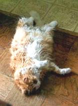 christitshot.jpg (7016 bytes)