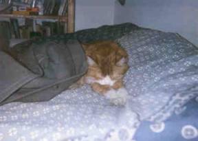 shhhh.jpg (64664 bytes)