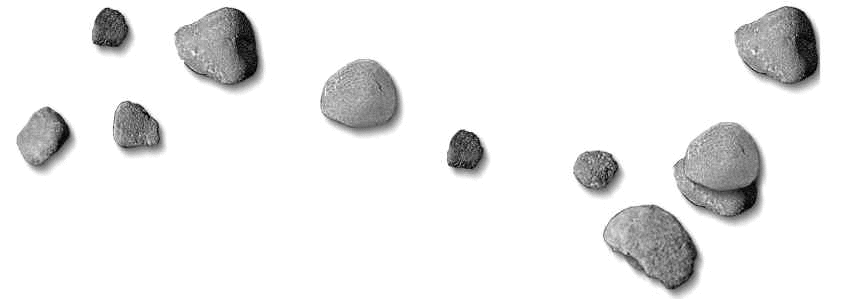 bryce_2.gif (29072 bytes)