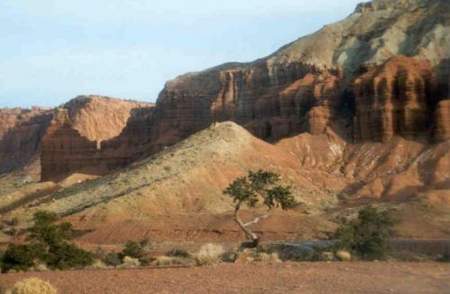 capitalreef1.jpg (29381 bytes)