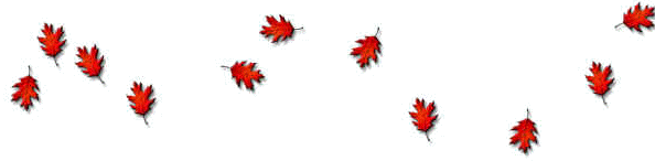 wpe7E.jpg (9373 bytes)