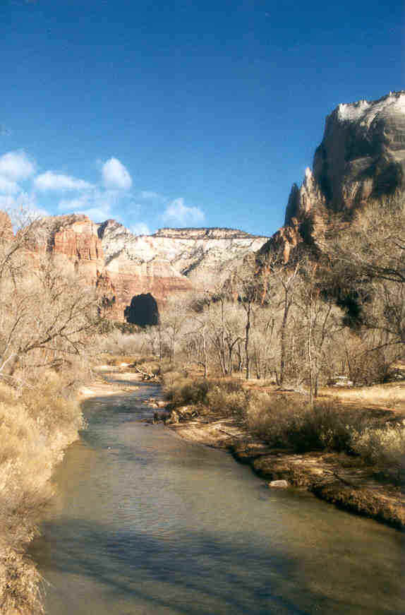 zion2.jpg (49619 bytes)