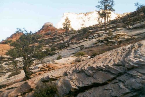 zion4.jpg (38876 bytes)