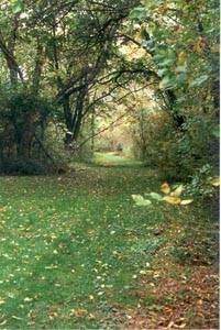 tour6.jpg (17915 bytes)